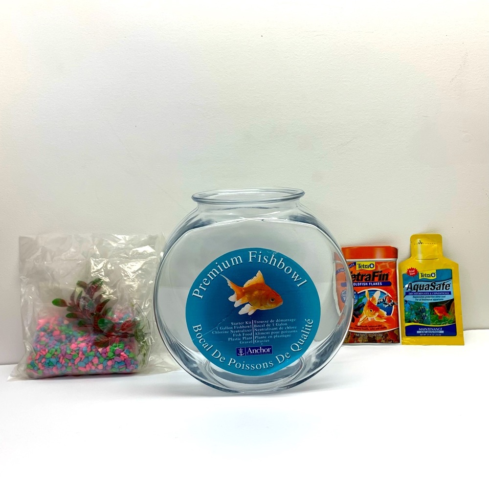 Glass Premium Fish Bowl Starter Kit